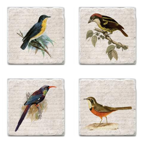 Coasters - Vintage Birds